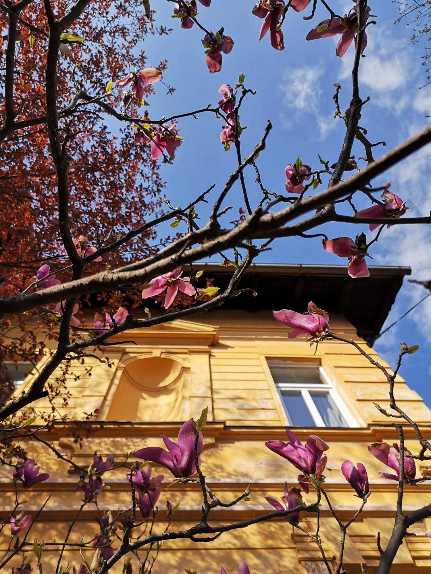 The Villa, Ljubljana City Center Zewnętrze zdjęcie