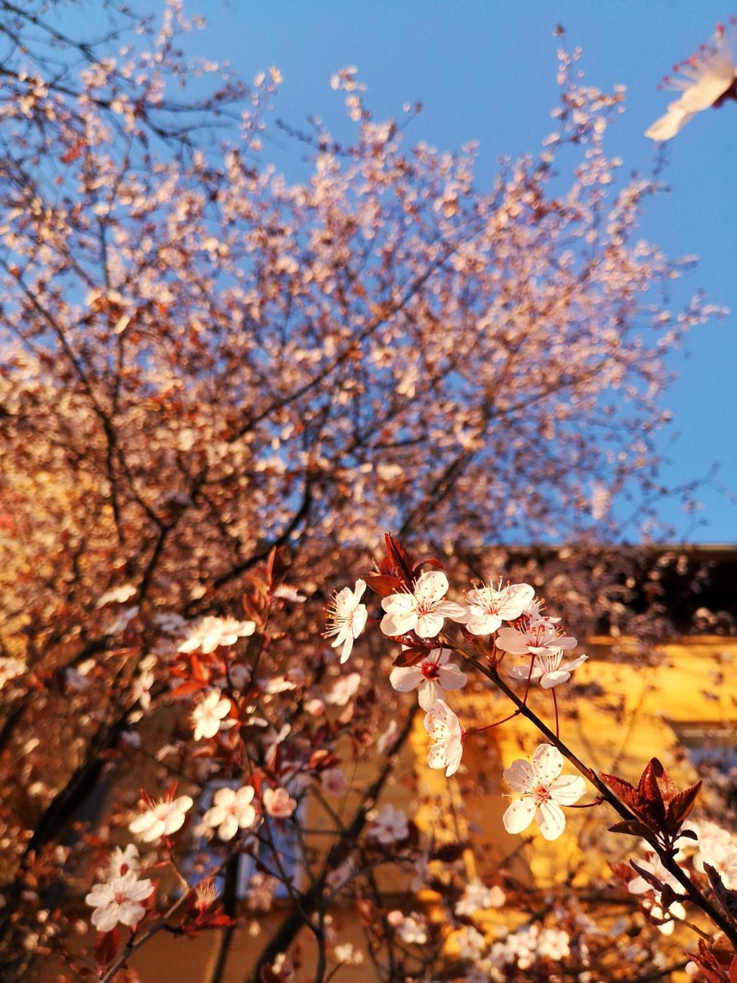 The Villa, Ljubljana City Center Zewnętrze zdjęcie