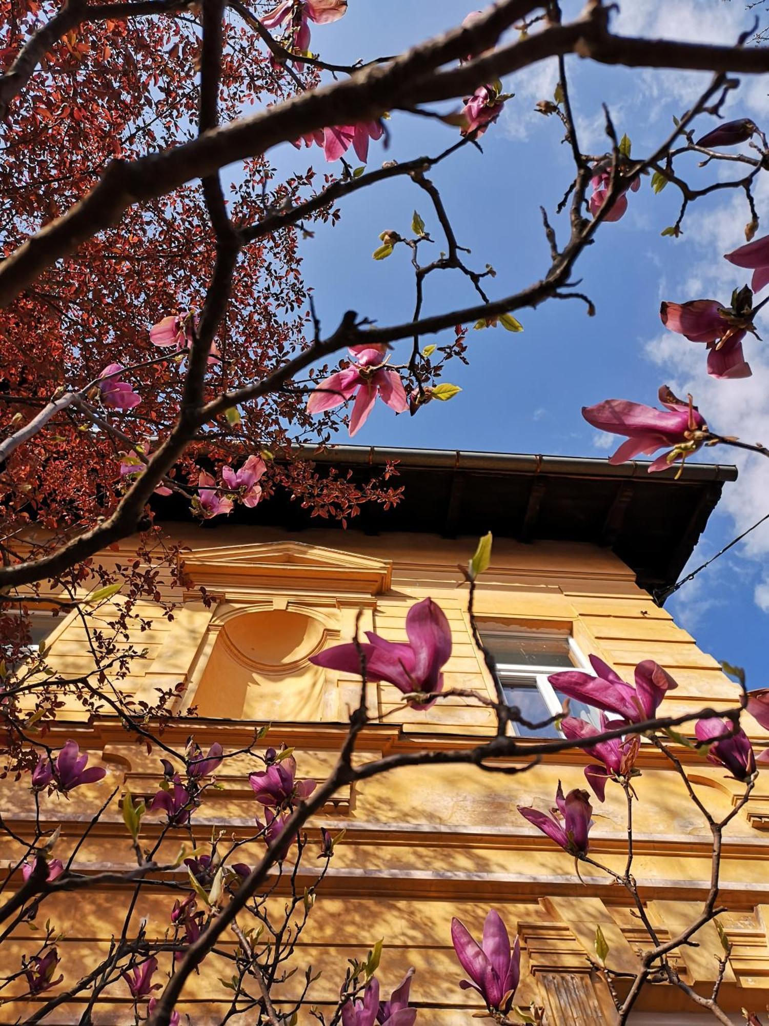 The Villa, Ljubljana City Center Zewnętrze zdjęcie
